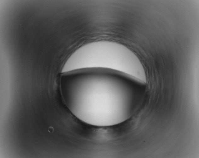 X0000093110566200709260947