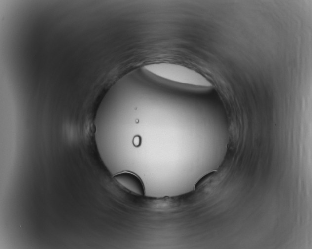 X0000093110574200709260948