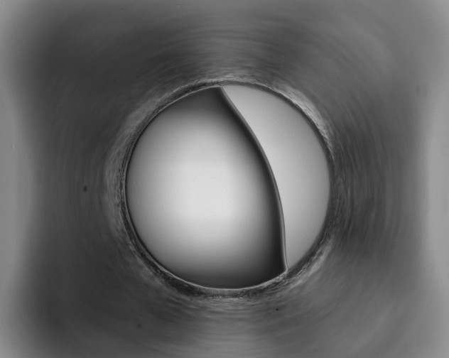 X0000093110577200709260947