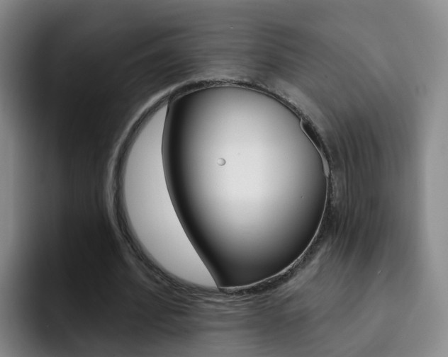 X0000093110580200709260947