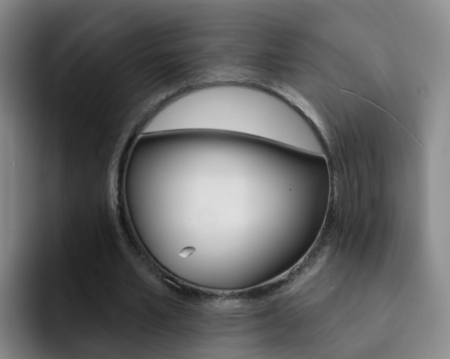 X0000093110581200709260947
