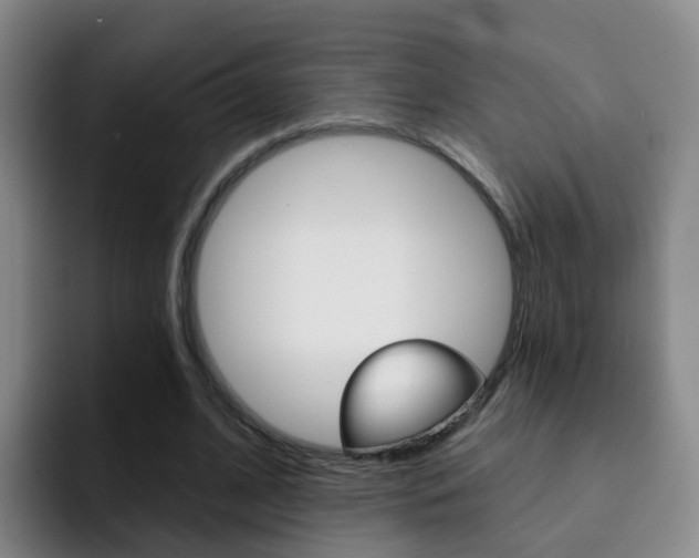 X0000093110584200709260947