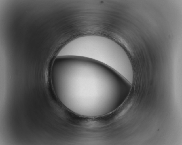 X0000093110589200709260947