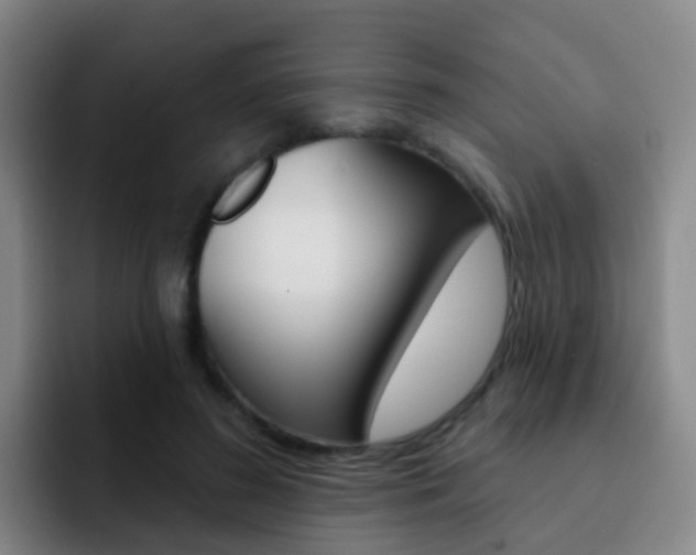 X0000093110596200709260947