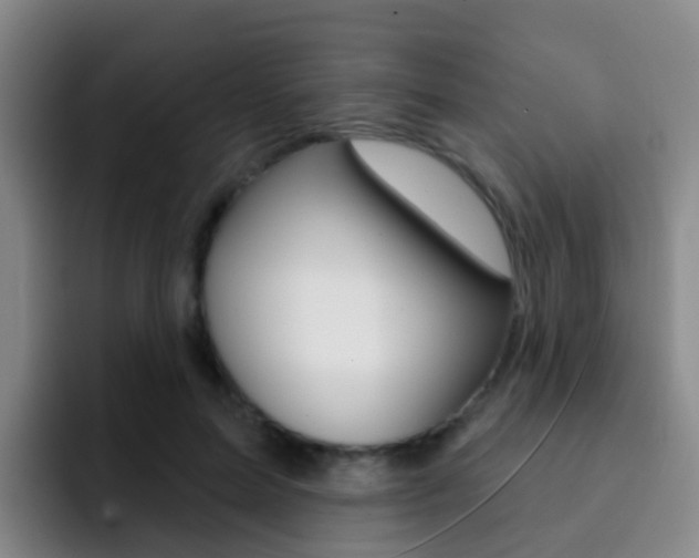 X0000093110599200709260947