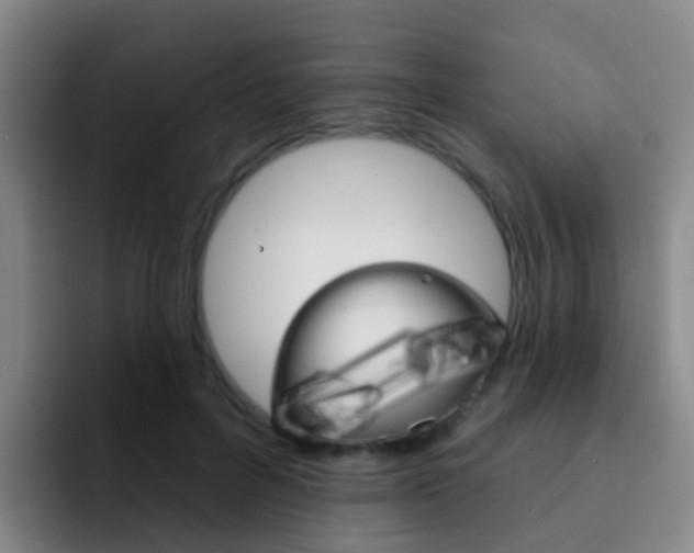 X0000093110600200709260947