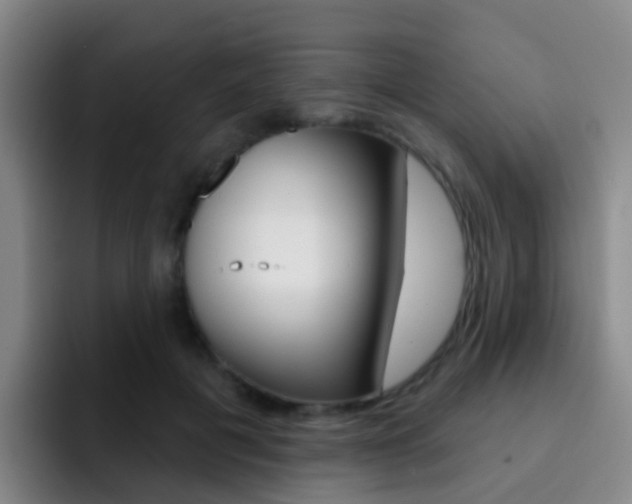 X0000093110601200709260947