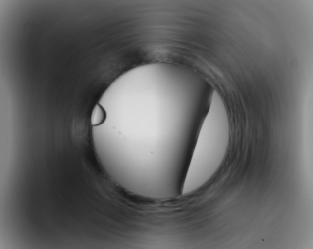 X0000093110603200709260947