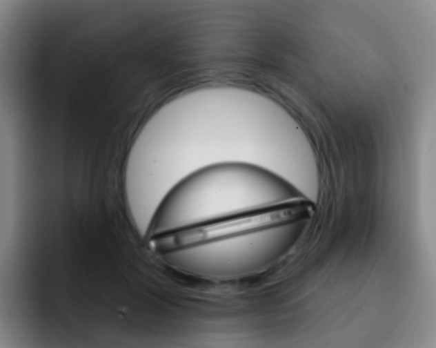 X0000093110604200709260947