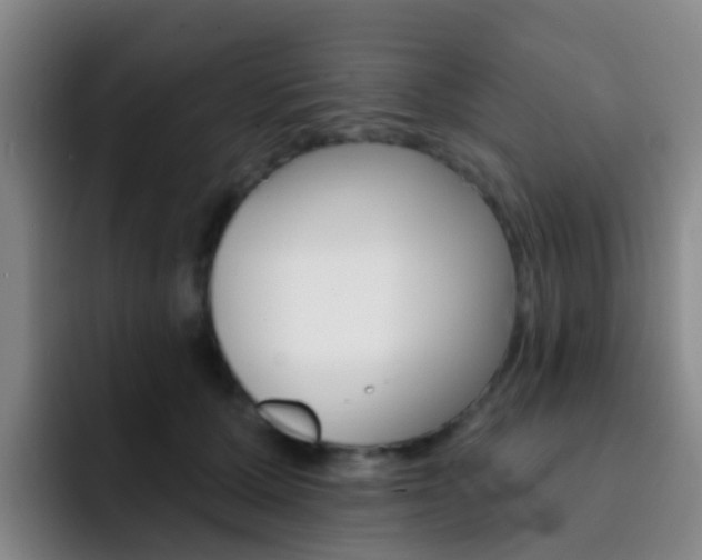 X0000093110607200709260947