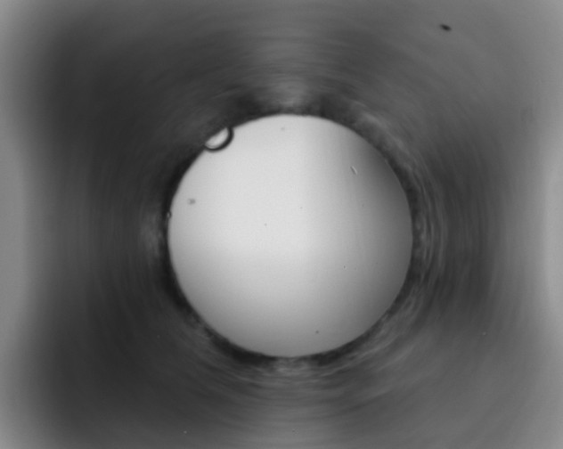 X0000093110612200709260947