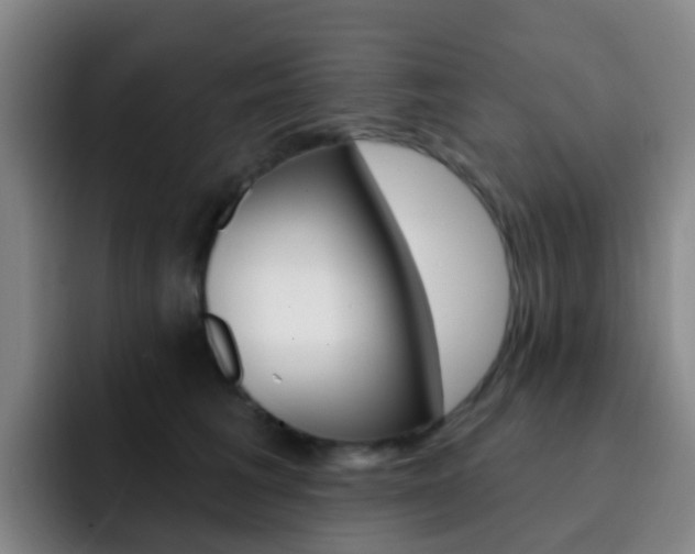 X0000093110613200709260947