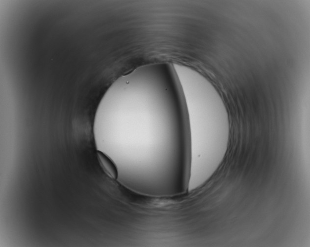 X0000093110617200709260947