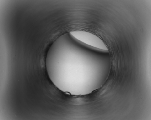X0000093110620200709260947