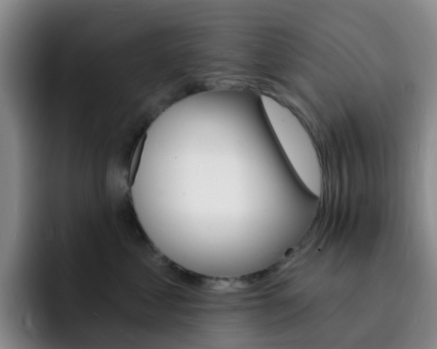 X0000093110621200709260947