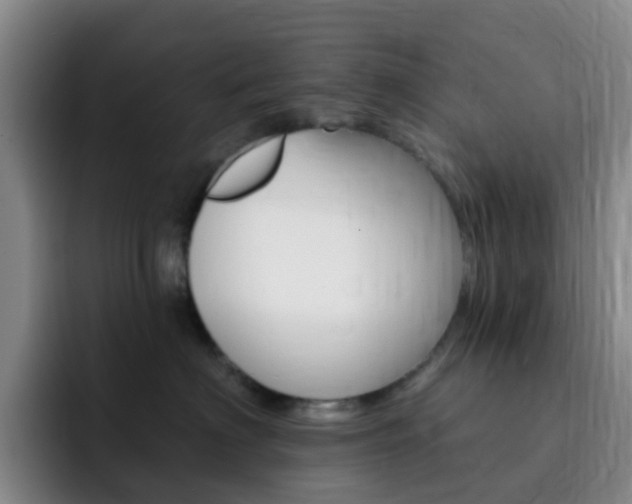 X0000093110622200709260947