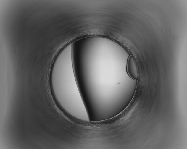 X0000093110625200709260946