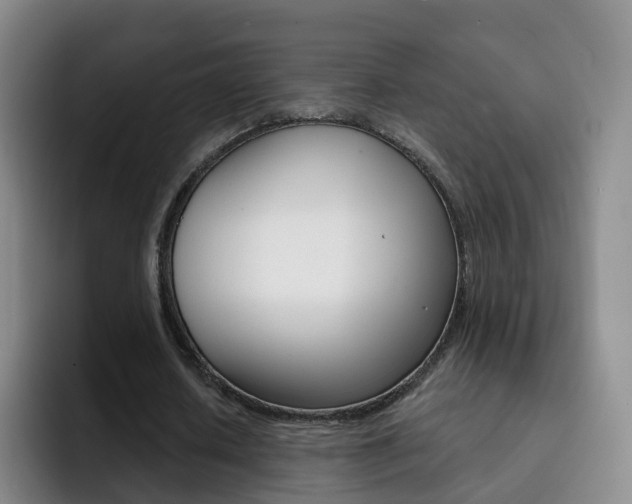 X0000093110626200709260946