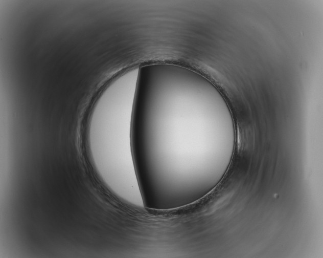 X0000093110627200709260946