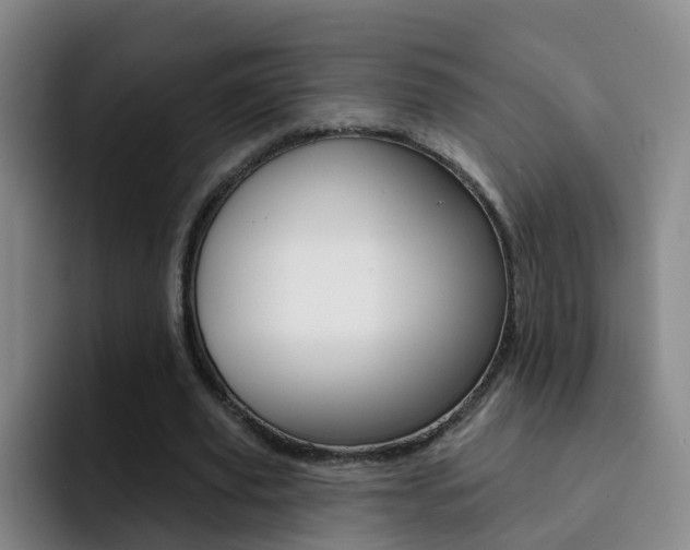X0000093110629200709260946