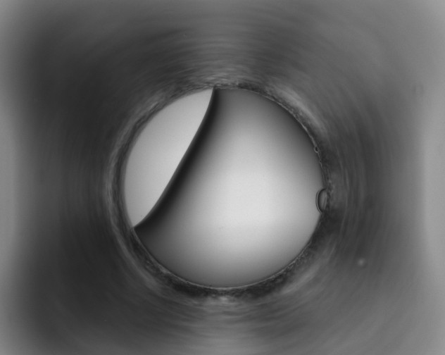X0000093110634200709260946