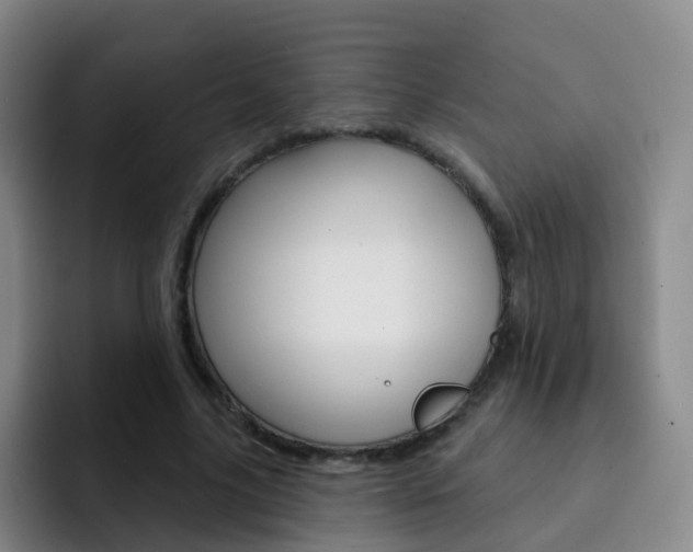 X0000093110635200709260946