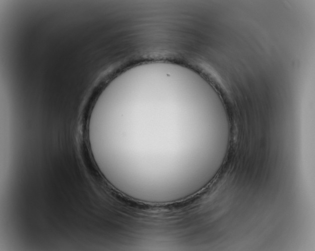 X0000093110636200709260946