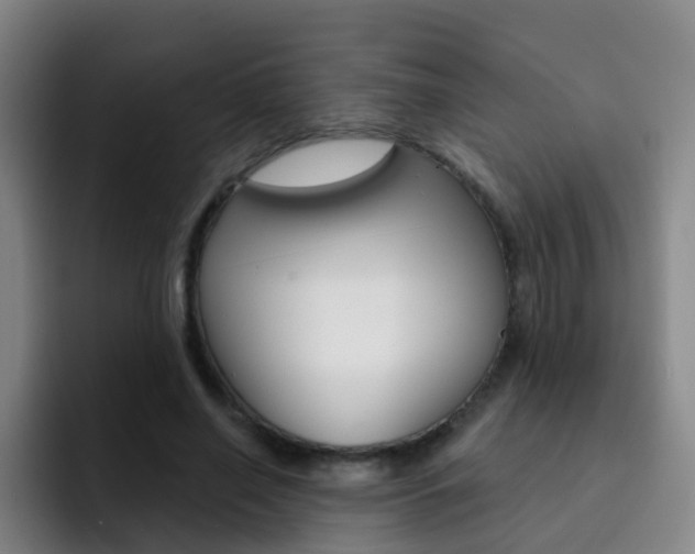X0000093110638200709260946