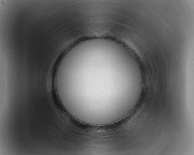 X0000093110640200709260946