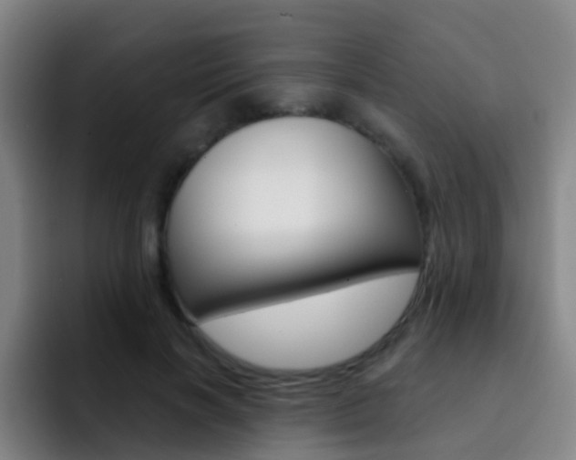 X0000093110646200709260946