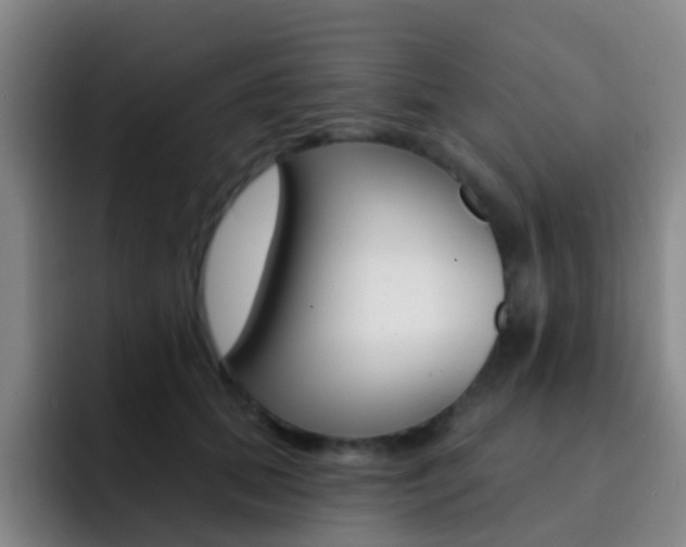 X0000093110655200709260946