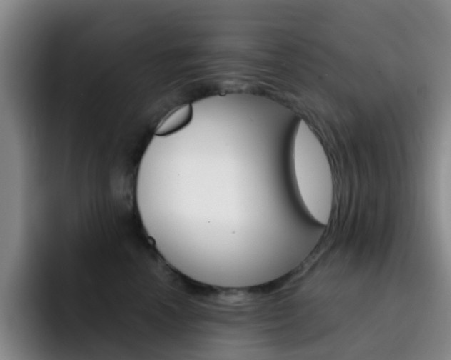X0000093110666200709260946