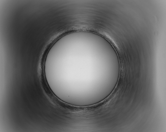 X0000093110674200709260946