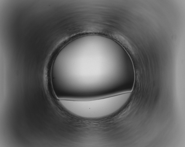 X0000093110676200709260946