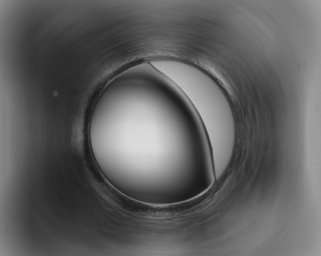 X0000093110677200709260946