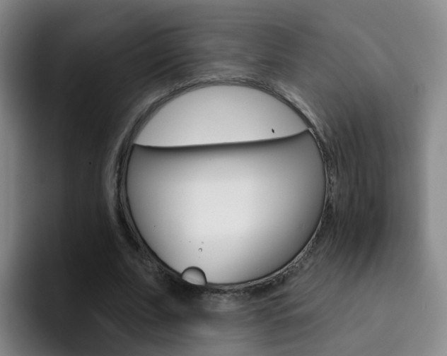 X0000093110679200709260946