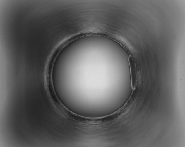 X0000093110680200709260946