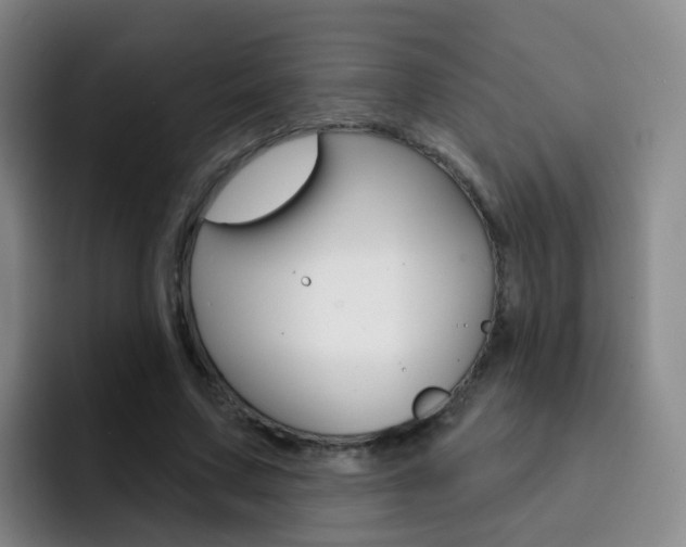 X0000093110683200709260946