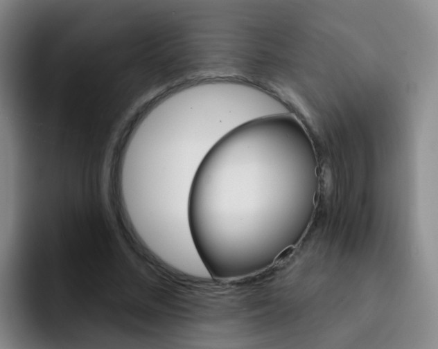 X0000093110684200709260946