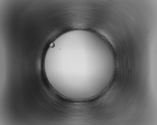X0000093110686200709260946