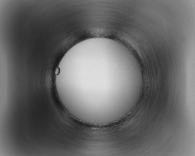 X0000093110690200709260946