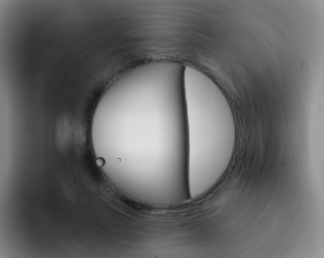 X0000093110691200709260946