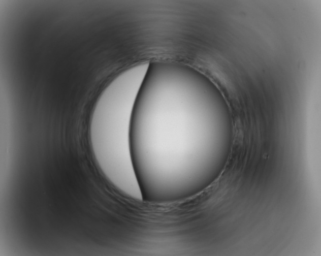 X0000093110692200709260946
