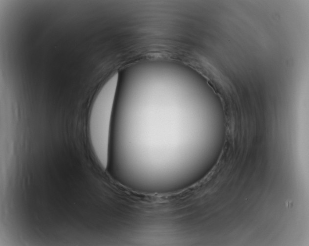 X0000093110696200709260946