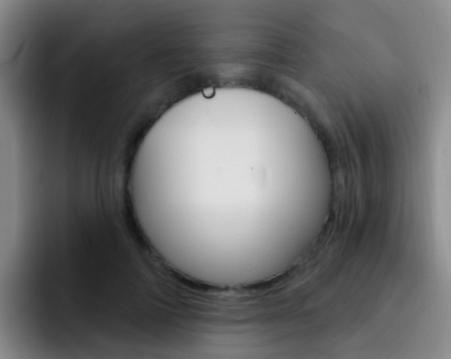 X0000093110698200709260946