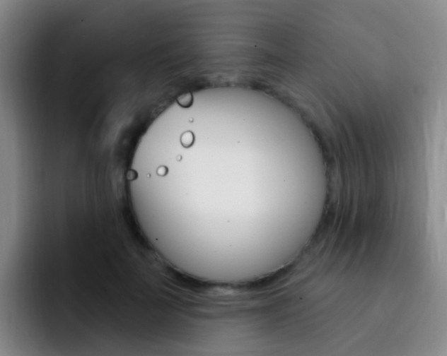 X0000093110699200709260946