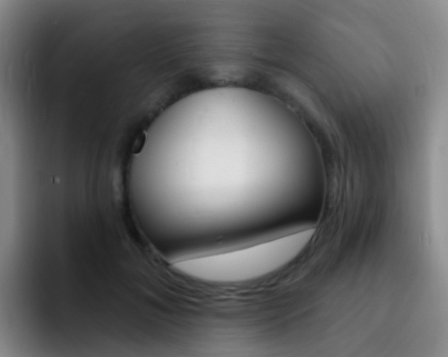 X0000093110700200709260946