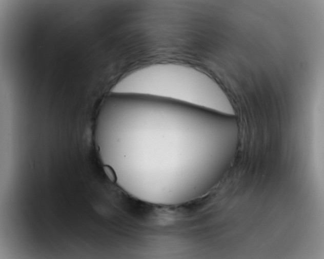 X0000093110703200709260946
