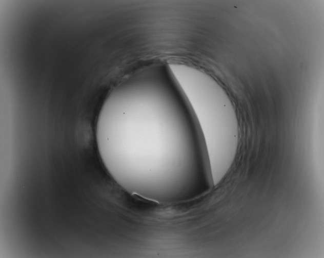 X0000093110704200709260946