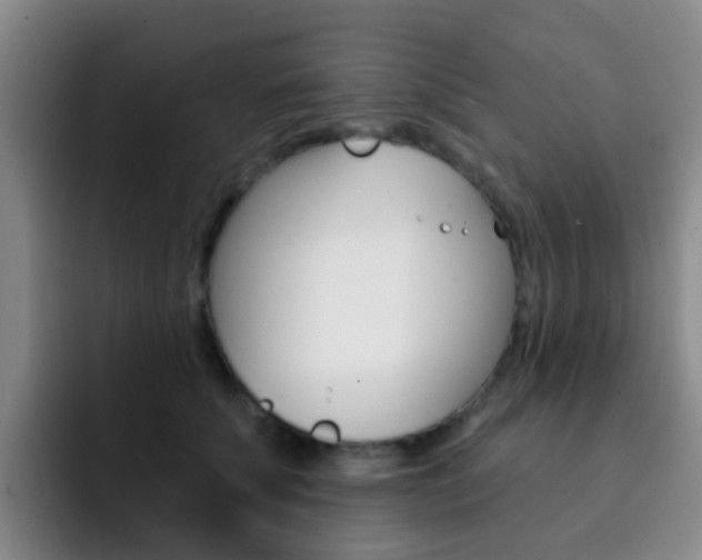 X0000093110707200709260946